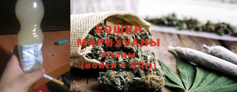 Бошки Шишки SATIVA & INDICA  купить наркотики сайты  Новодвинск 